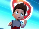 Replay Paw Patrol, la Pat'Patrouille - Le fantôme