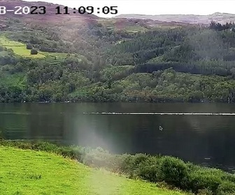 Replay Le monstre du Loch Ness est en live ? - Le dessous des images