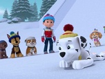 Replay Paw Patrol, la Pat'Patrouille - Mission Tout-Terrain : Une course au sommet