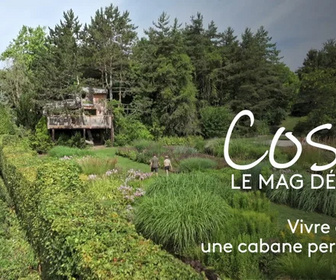 Cosy, le mag déco replay