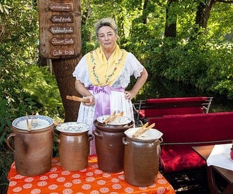 Replay La forêt de la Spree, terre des derniers Slaves d'Allemagne