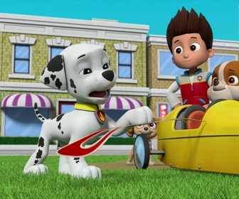 Replay Paw Patrol, la Pat'Patrouille - La course de caisses à savon