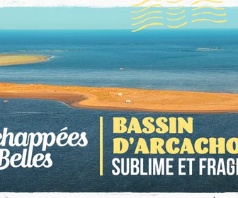 Replay Échappées belles - Bassin d'Arcachon, sublime et fragile