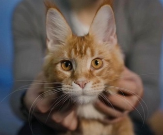 Replay L'hebdo des animaux - Episode 20