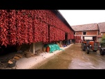 Replay Explorez le village rouge serbe de Donja Lokošnica et les tapis de Pirot classés à l'Unesco