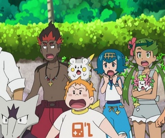 Replay Pokemon - S22 E24 - La princesse mystérieuse !