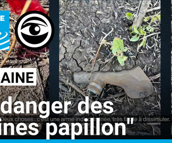 Les Observateurs replay