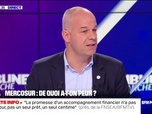 Replay BFM Story Week-end - Mercosur : Nous ne voulons pas d'une agriculture importée qui ne respecte pas nos standards, Arnaud Rousseau - 17/11