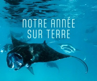 Replay Une année sur terre - 19/05/2026