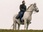 Replay L'homme au cheval blanc