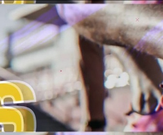 Replay Les longs formats des Locales - Au coeur des ruches, les défis d'un apiculteur