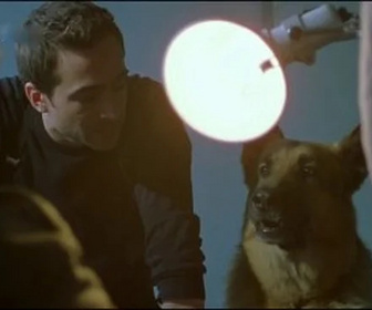 Replay Rex, chien flic - Suicides suspects