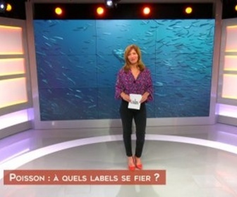 Replay De la terre à l'assiette - Poisson : à quel labels se fier ?