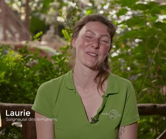 Replay 1 an à Pairi Daiza, le meilleur zoo d'Europe - S7E5 - Episode 5