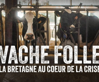 Replay La ligne bleue - Vache folle, la Bretagne au coeur de la crise