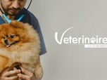 Replay Vétérinaires : leur vie en direct