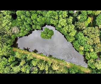 Replay De l'IA au greenlash : comment évolue la désinformation climatique ?