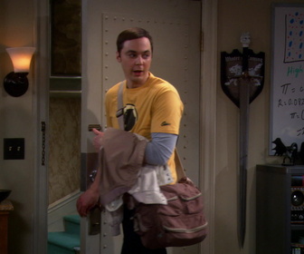 Replay The Big Bang Theory - S5E15 - Le contrat d'amitié