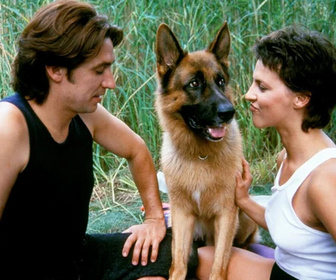 Replay Rex, chien flic - 17/07/2026