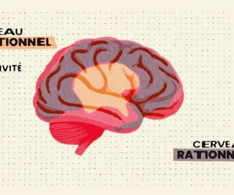 Replay Bel & Bien ensemble - 16/12/2025