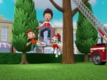 Replay Paw Patrol, la Pat'Patrouille - Les faisceaux lumineux