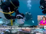 Replay Élément Terre - COP16 biodiversité : le financement au cœur des négociations