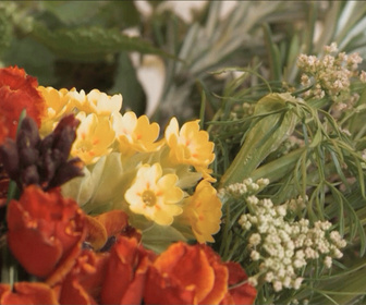Replay Les Carnets de Julie - Les Saveurs des fleurs