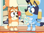 Replay Bluey - Bingo !