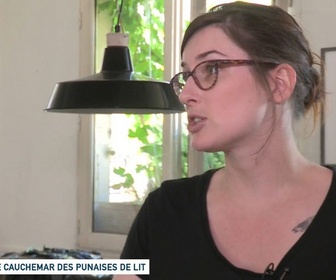 Replay Un jour, un doc - Les grenouilles de la discorde / Le cauchemar des punaises de lit / Des serpents dans ma maison