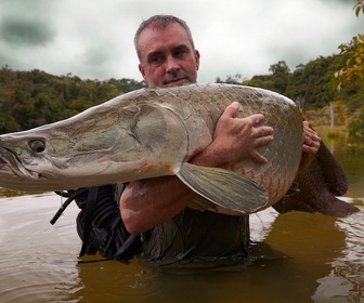 Replay Pêche XXL : derniers géants - Prédateurs préhistoriques