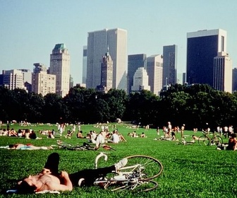 Replay Hommage à Frederick Wiseman - Central Park