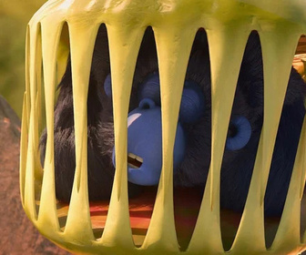 Replay Les as de la jungle à la rescousse - 12/11/2025