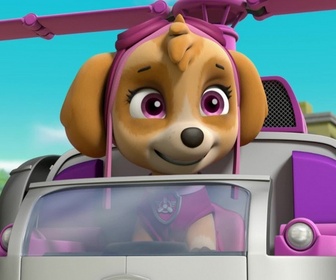 Replay Paw Patrol, la Pat'Patrouille - A la recherche du sac perdu