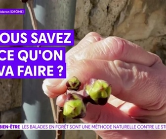Replay On a de l'info - Emission du 27-04-26