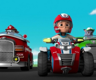Replay Paw Patrol, la Pat'Patrouille - Drôles d'oiseaux