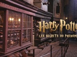 Replay Harry Potter : les secrets du phénomène - 31/10/2024