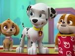 Replay Paw Patrol, la Pat'Patrouille - La Pat'Patrouille sauve un lamantin