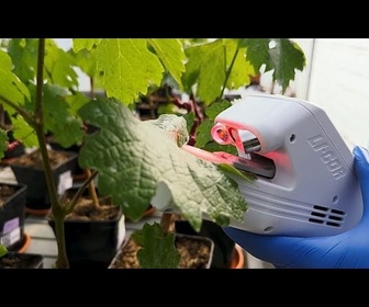 Replay Changement climatique : comment une startup française aide les cultures mondiales à économiser l'eau