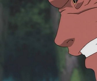 Replay Naruto - S5 E11 - Adieu l'ami, je ne t'oublierai jamais