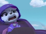 Replay Paw Patrol, la Pat'Patrouille - Mission Tout-Terrain : Une course au sommet