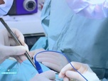 Replay Vétérinaires : leur vie en direct - Que sont-ils devenus ? Saison 1