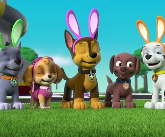 Replay Paw Patrol, la Pat'Patrouille - Le satellite