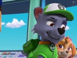 Replay Paw Patrol, la Pat'Patrouille - Toilettage à domicile
