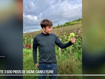 Replay Les longs formats des Locales - La Normandie se découvre... dans un vignoble de Giverny