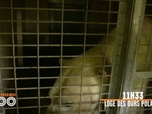 Replay Une saison au zoo - S10 E51