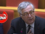 Replay 100% Sénat - Aides publiques aux entreprises : audition de Blackrock