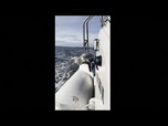 Replay Un phoque saute sur le bateau d'un photographe pour échapper aux orques