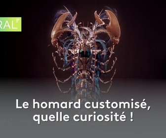 Replay Littoral - Le homard customisé