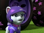 Replay Paw Patrol, la Pat'Patrouille - Mission Tout-Terrain : L'exploration de la grotte