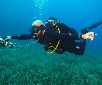 Replay Comment écouter le chant des poissons ? - Tracks